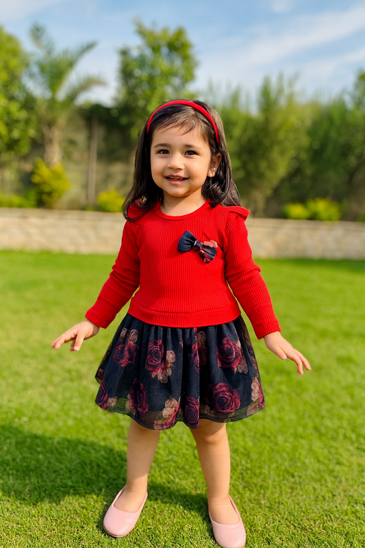 Red Full sleeve gown